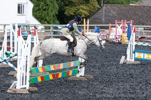 Class 5 - Fences not above 2'6